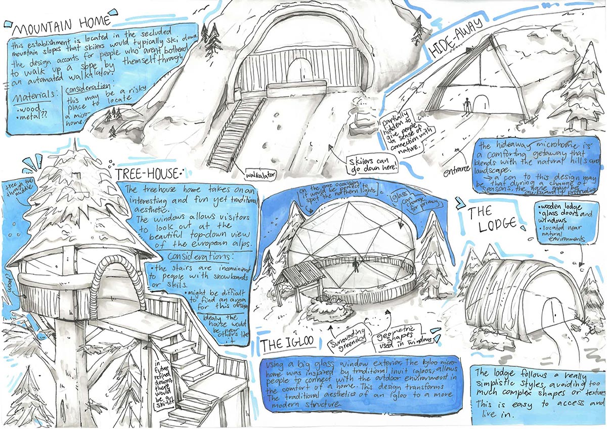 Task 4 student develop ideas example 2