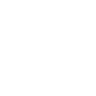 Aesthetic Icon