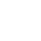 Form Icon