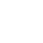 Line Icon