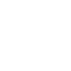Point Icon
