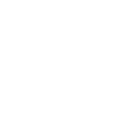 Scale Icon