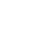 Thorough Icon