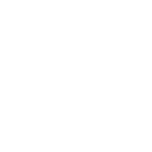 Type Icon