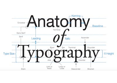 Typographic conventions